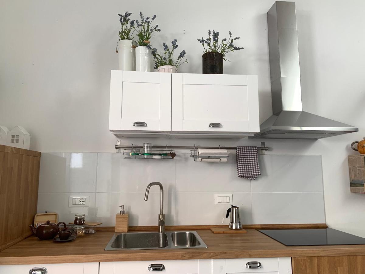 Metroloft Bed and Breakfast Bologna Eksteriør billede